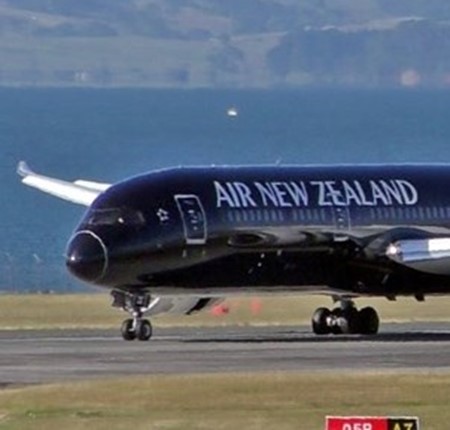 Air New Zealand - 25 LIVE STREAM EVENTS